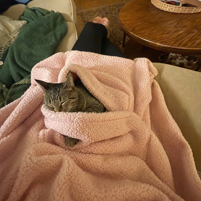 Cat asleep inside the front pouch of the blush pink Joey hoodie