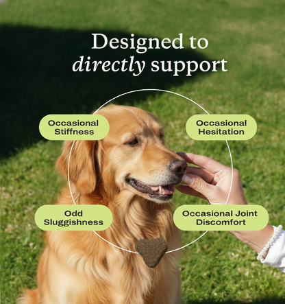 Hip & Joint Chews