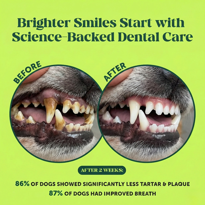 Fresh Breath Dental Powder for Dogs